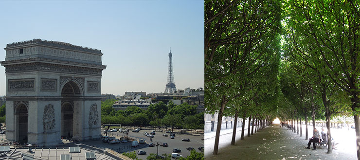 paris_apartment_1