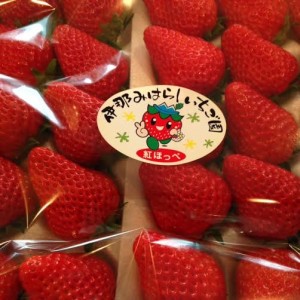 furusato-tax-strawberry