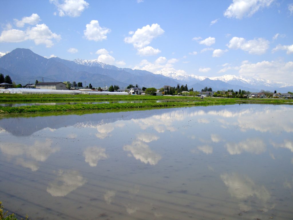 大町市水田