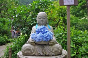 明月院　花想い地蔵と紫陽花