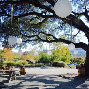 Matanzas Creek Winery（マタンザス・クリーク・ワイナリー）