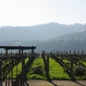 Robert Mondavi Winery（ロバート・モンダヴィ・ワイナリー）