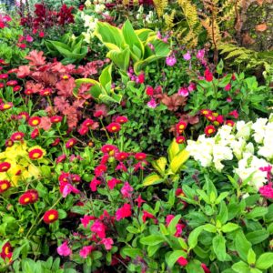 信州花フェスタ2019