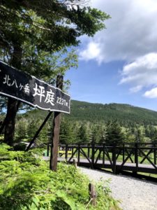 北八ヶ岳　坪庭
